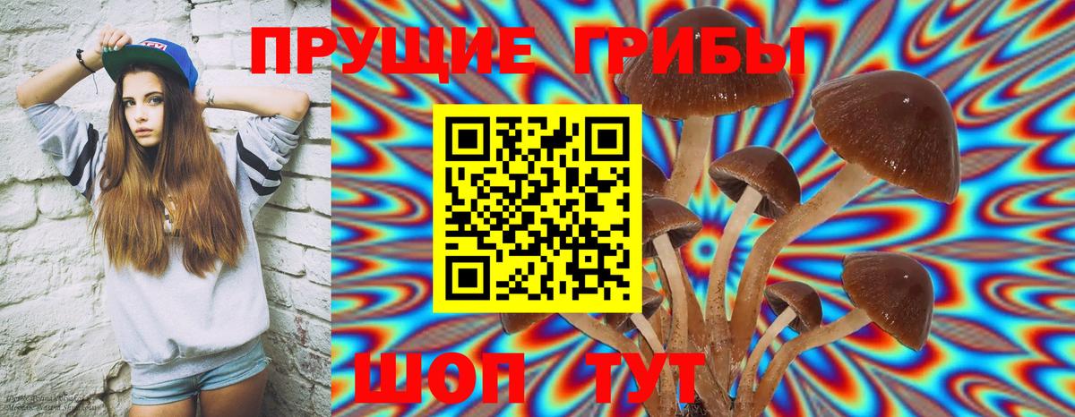 Ейск  Галлюциногенные грибы прущие грибы  Галлюциногенные грибы Cubensis  Вход с VPN 