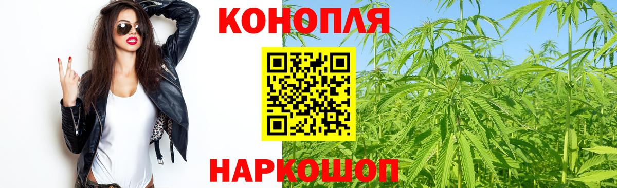 Альфа ПВП Ейск
